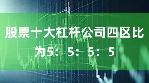 股票十大杠杆公司四区比为5：5：5：5