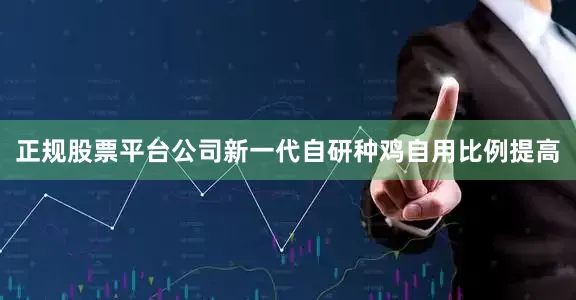 正规股票平台公司新一代自研种鸡自用比例提高