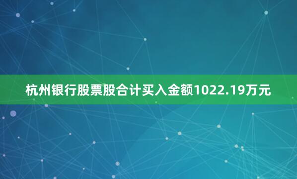杭州银行股票股合计买入金额1022.19万元