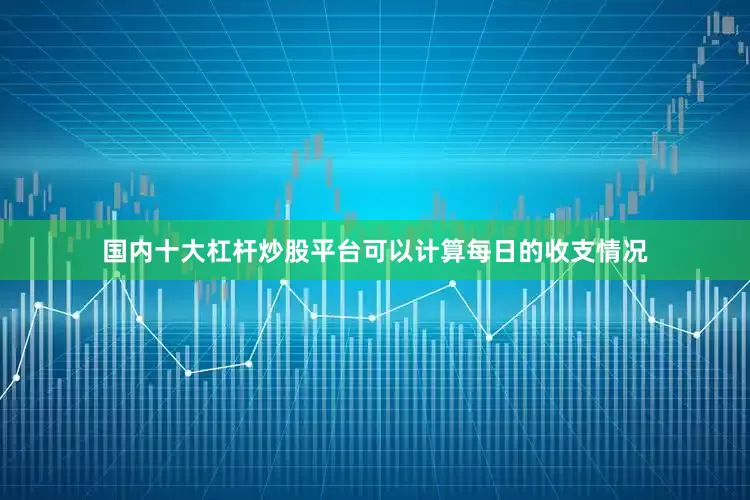 国内十大杠杆炒股平台可以计算每日的收支情况