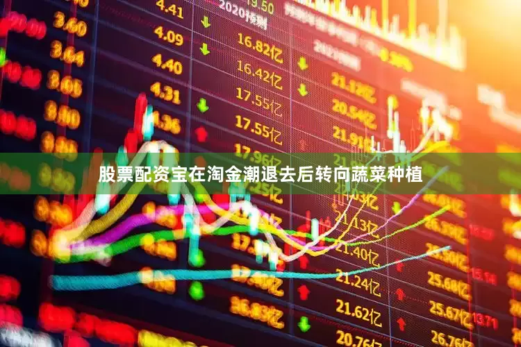 股票配资宝在淘金潮退去后转向蔬菜种植