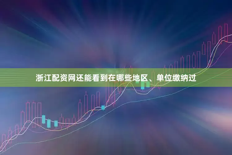 浙江配资网还能看到在哪些地区、单位缴纳过