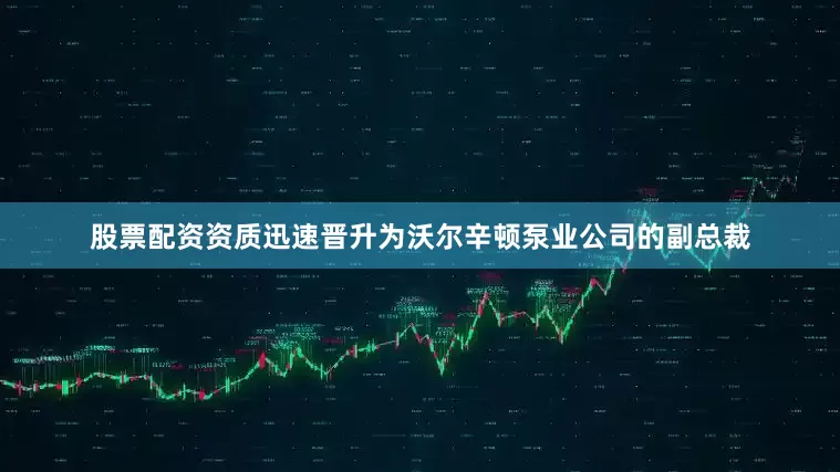 股票配资资质迅速晋升为沃尔辛顿泵业公司的副总裁